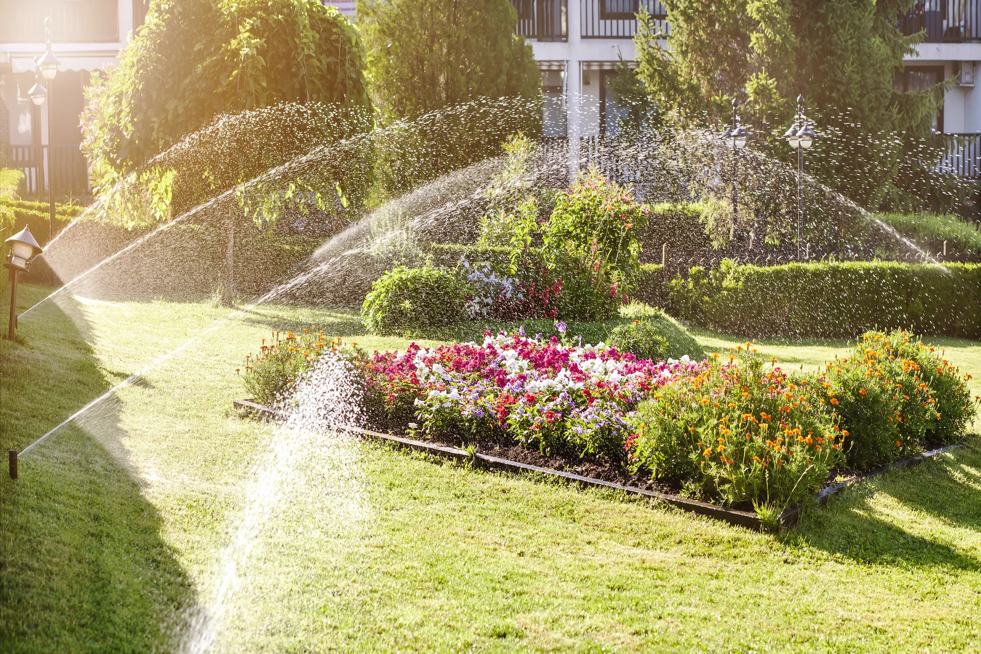 Understanding The Process of Irrigation System Installation for Irrigation System Installation