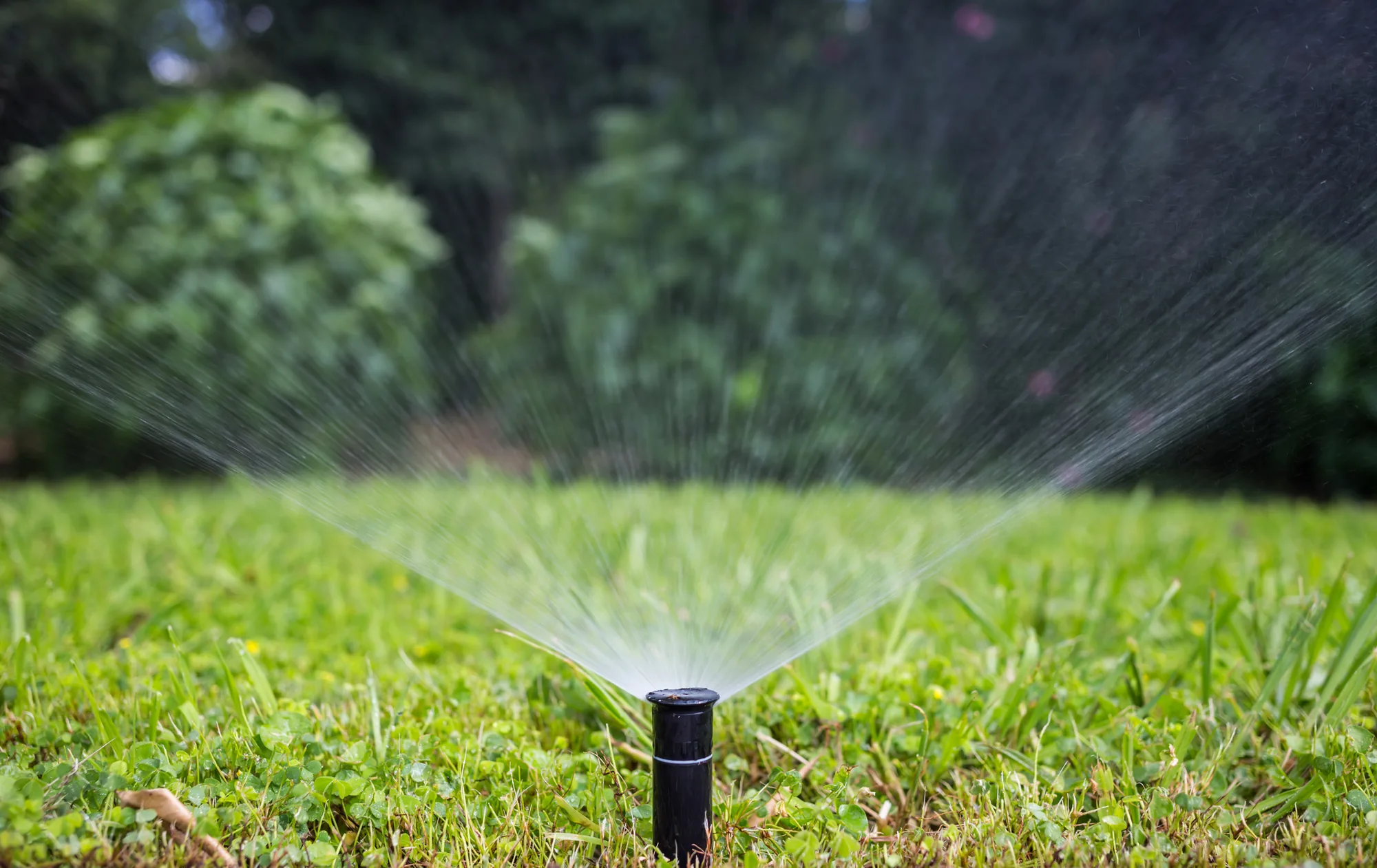 Irrigation System Installation by Green Oaks Landscape