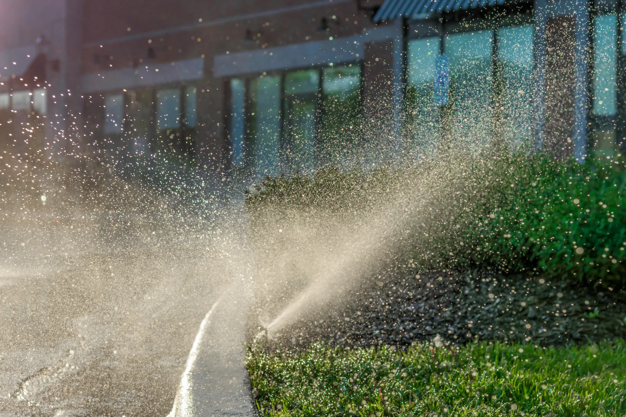 Irrigation System Installation in Elk Grove, CA 95757 Irrigation System Installation in Elk Grove, CA 95757