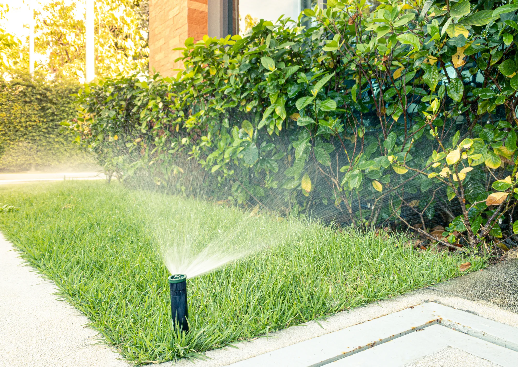 Irrigation System Installation service detail in Elk Grove, CA 95757 Irrigation System Installation service detail in Elk Grove, CA 95757