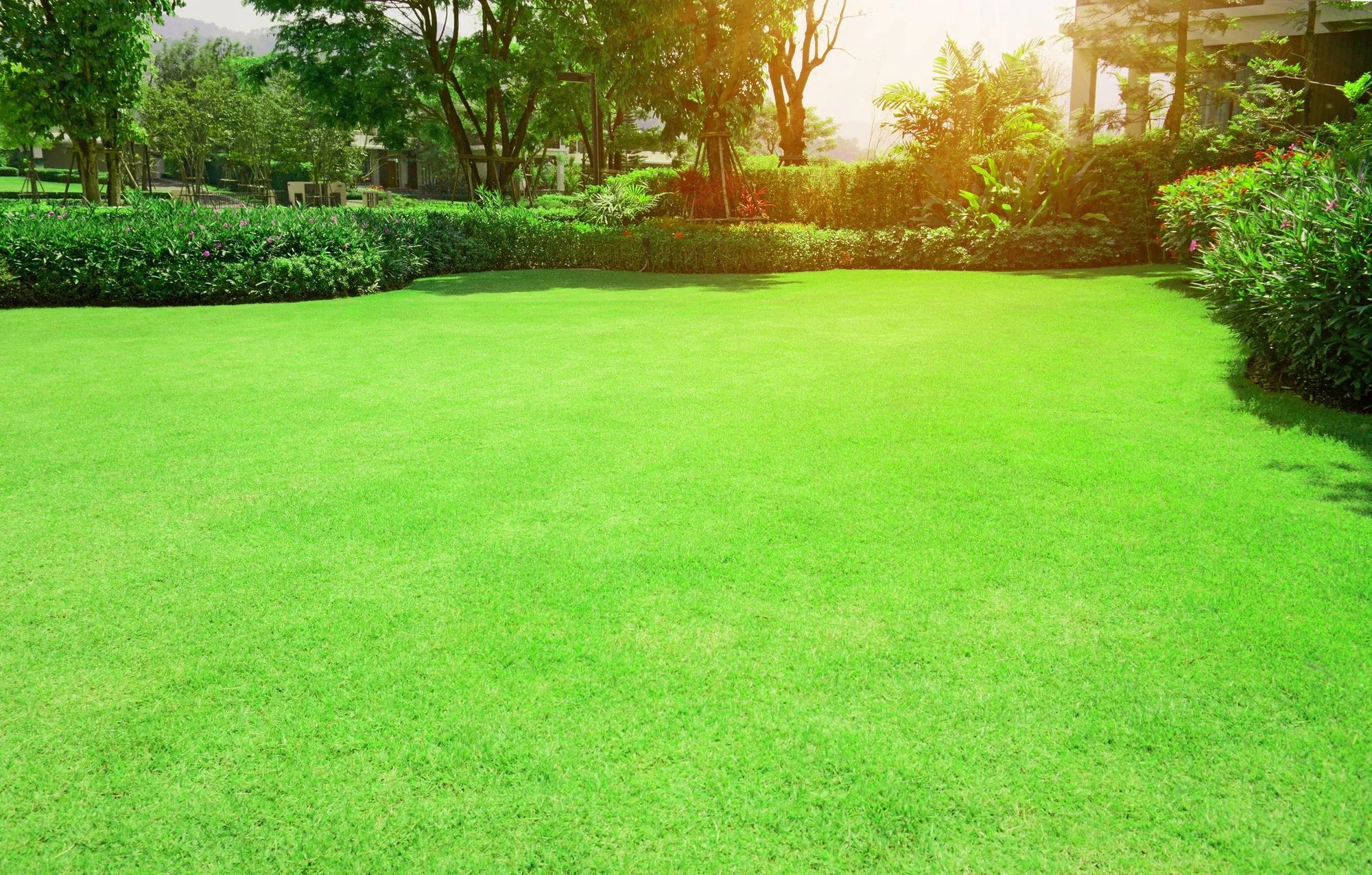 Seasonal Tips For Effective Lawn Maintenance Practices for Lawn Maintenance