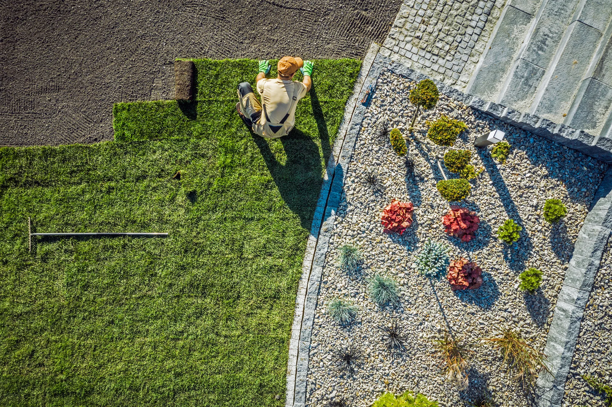Seasonal Tips For Effective Lawn Maintenance Practices guide in Elk Grove, CA 95757