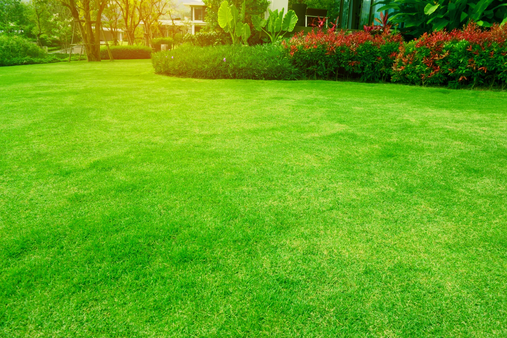 Lawn Maintenance in Elk Grove, CA 95757