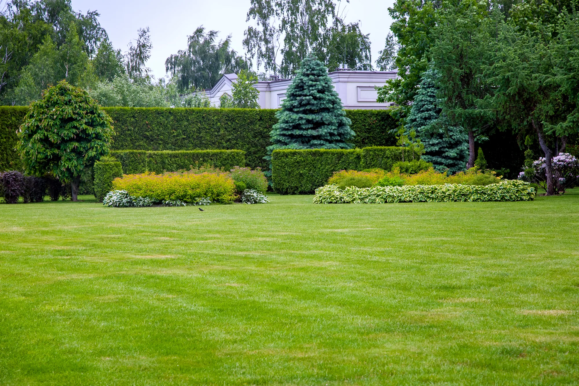 Lawn Maintenance service detail in Elk Grove, CA 95757