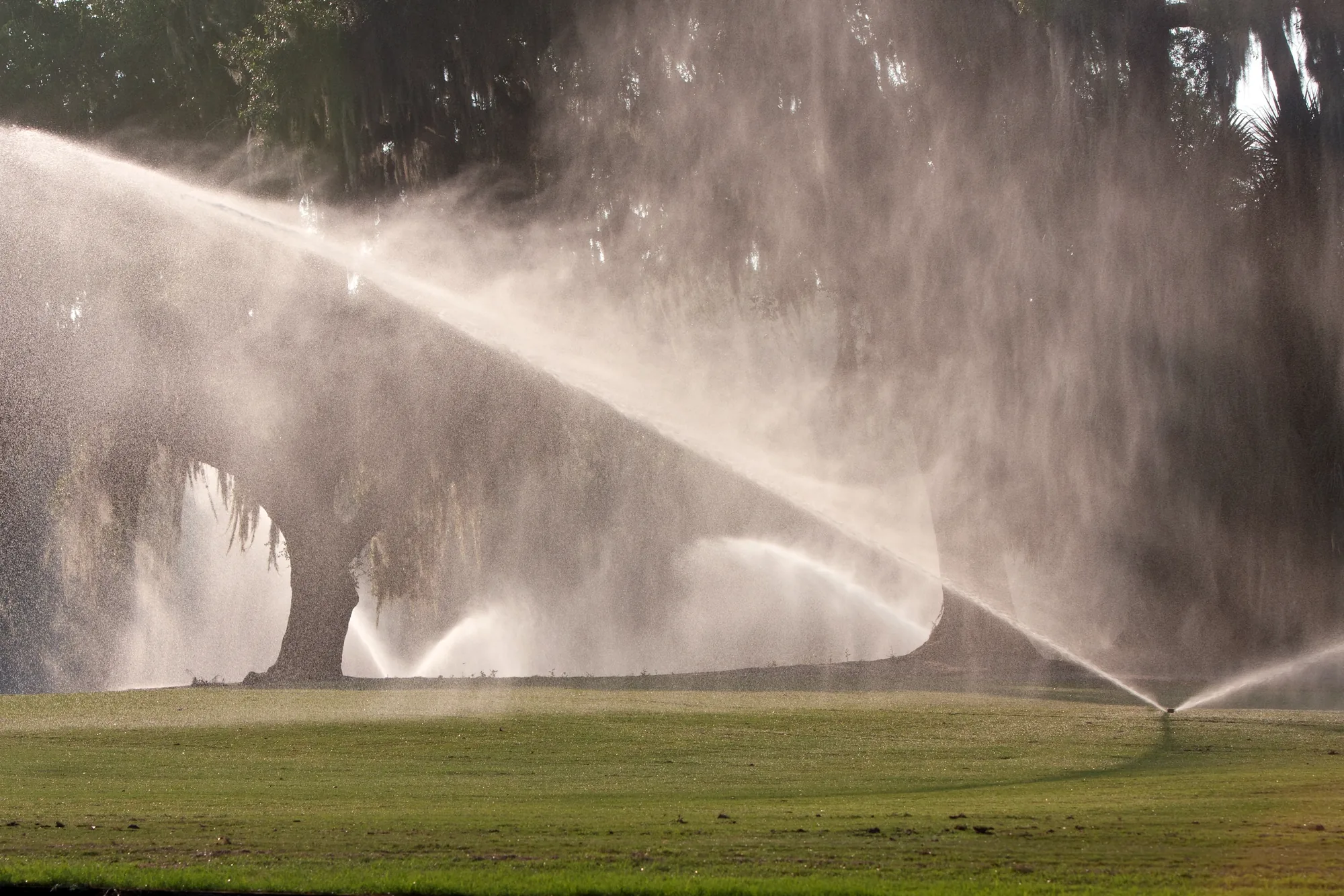 The Role of Sprinkler System Repair in Lawn Health detail for Sprinkler System Repair in Elk Grove, CA 95757 The Role of Sprinkler System Repair in Lawn Health detail for Sprinkler System Repair in Elk Grove, CA 95757