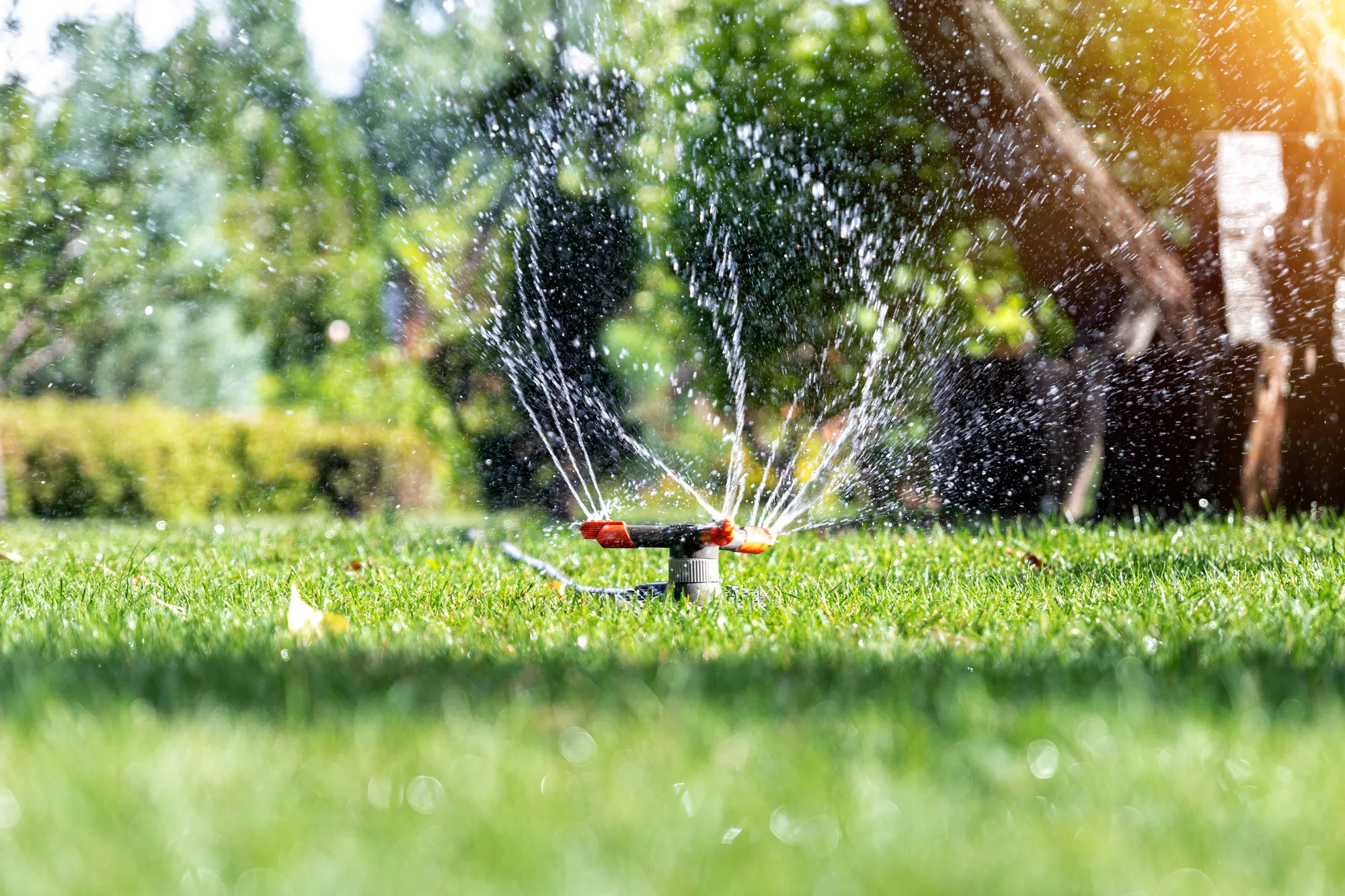 Sprinkler System Repair preview project preview Sprinkler System Repair preview project preview